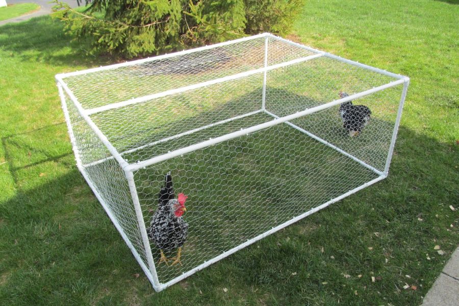 PVC Chicken Run