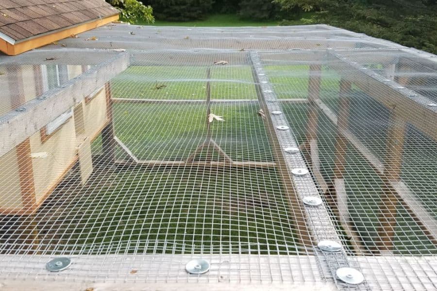 Predator-Proof Chicken Run