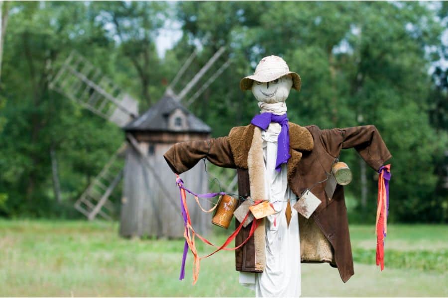 Scarecrow in garden