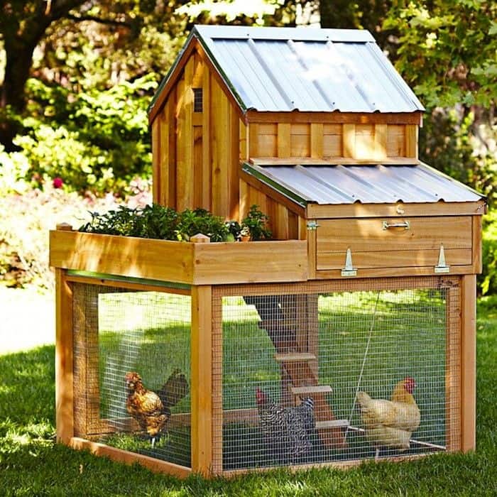 Small-Space Friendly Chicken Run