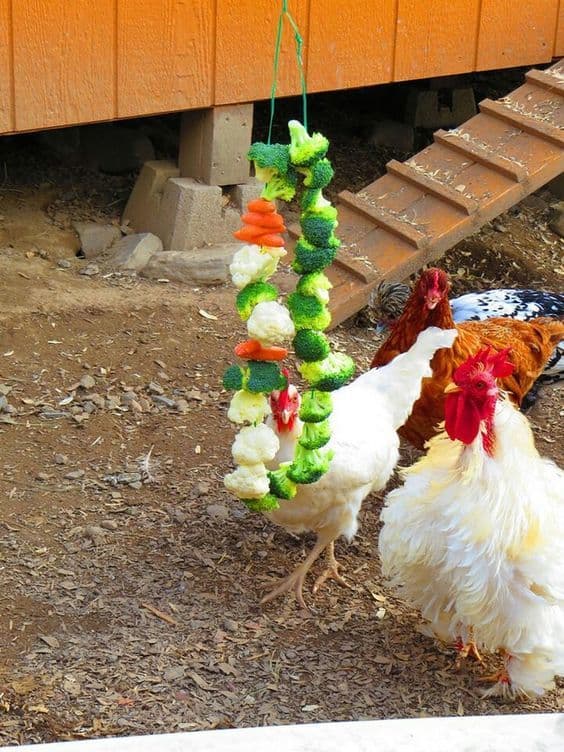 Veggie Pinata