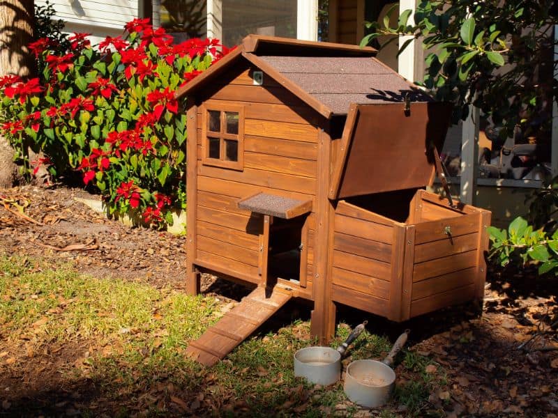 chicken coop close to shade